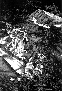 Bernie Wrightson's Frankenstein - Copy