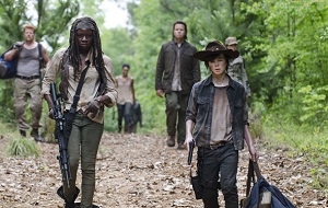 The Walking Dead s05e02, Strangers