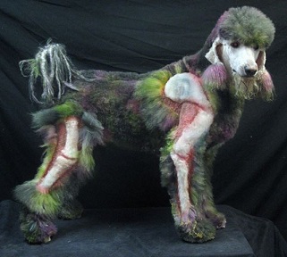 Xerxes the Zombie Poodle